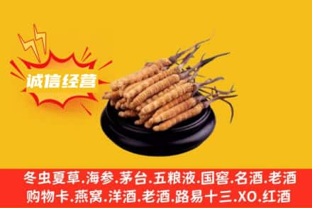海北祁连县回收冬虫夏草